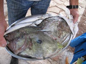 Konoba Andrija - Restaurant Andrija