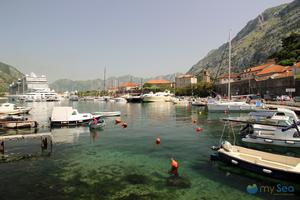 Port of Kotor