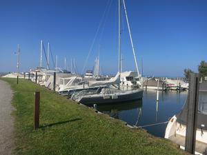 Hafen am Rohrspitz (Salzmann)