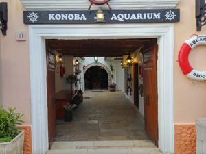 Aquarium - Konoba Aquarium - Eingang