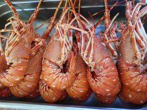 Restoran Villa Jagodna