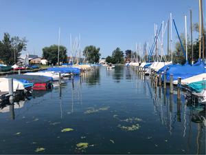 Rietli Hafen Goldach