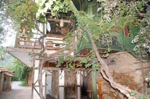 My Marina Restaurant - Alter Weinstock