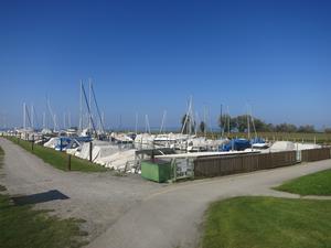 Hafen am Rohrspitz (Salzmann)