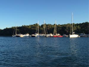 Anchorage Jadriscica