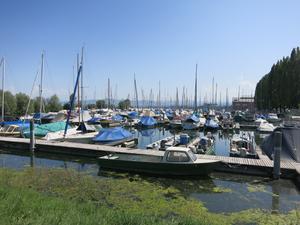 SBS Yachthafen Romanshorn