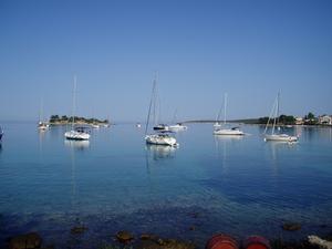 Gradina buoy field - buoy