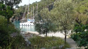 Ali - Cold Water Bay 