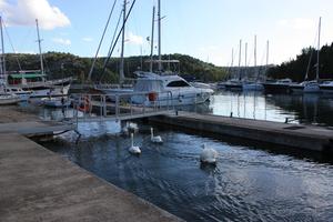 ACI Marina Skradin