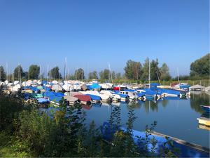 Gemeindehafen Höchst