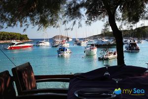 Buoy field Vinogradišće