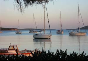 Uvala Landin, Pasman