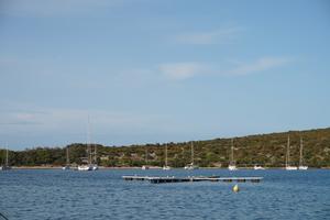 Buoy field Ilovik - Bojenfeld!