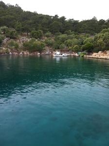 Twenty-Two Fanthom Cove