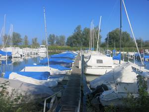 Gemeindehafen Höchst