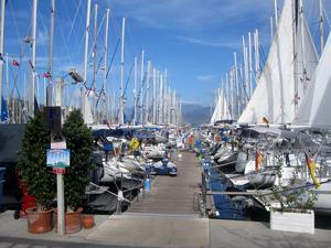 Ece Seray Marina