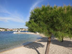 Restaurant Hotel Spongiola