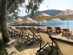 Orhaniye İncir Restaurant & Bungalows
