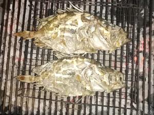 Konoba Larus buoy field