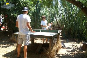 Safari Bar - Entspannen bei einer Runde Tischtennis in der Bar.