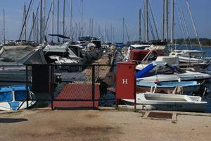 Marina Červar Porat