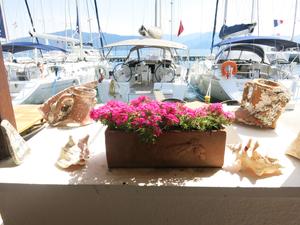 Offshore Sailor's Restaurant