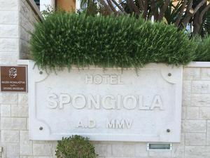 Restaurant Hotel Spongiola