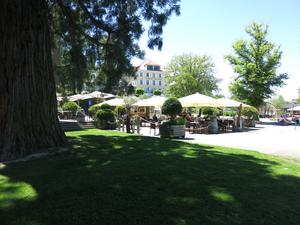 Gemeindehafen Bodman