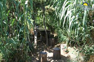 Safari Bar - Eine versteckte Sitzgelegenheit im Schilf.