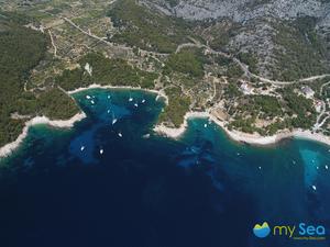 Borce bay buoy field