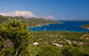 Uvala Landin, Pasman