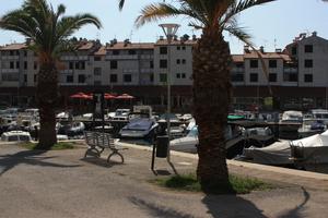 Marina Červar Porat