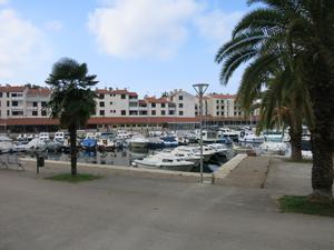 Marina Červar Porat