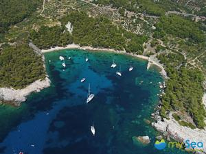 Borce bay buoy field