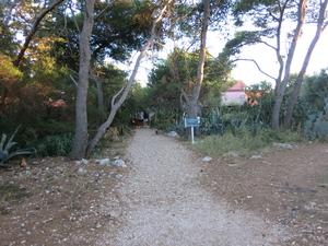 The Fisherman's House & Pension Tonci