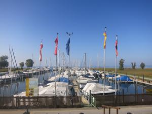 Hafen am Rohrspitz (Salzmann)