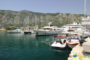 Port of Kotor
