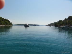 zum Teil etwas lebhaft