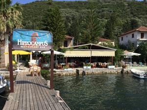 Hippocampus - Typisch Greek am Meer