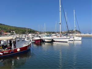 Cavo Harbour