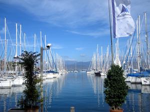 Ece Seray Marina