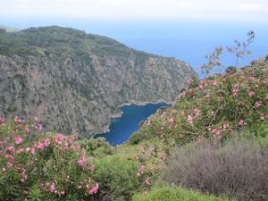 Butterfly Valley