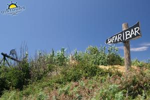 Safari Bar - Fast alle Wege im Gebiet führen irgendwann zur Safari Bar.