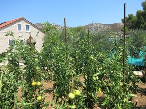 Restaurant Porto Rosso