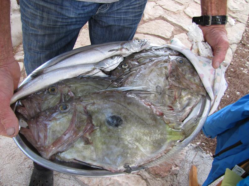 Konoba Andrija - Restaurant Andrija