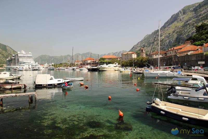 Port of Kotor