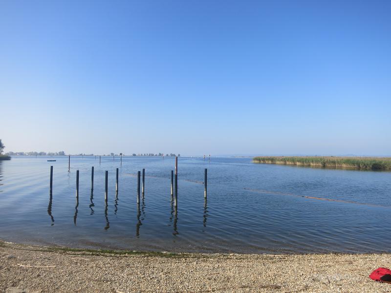 Hafen Yacht-Club Rheindelta