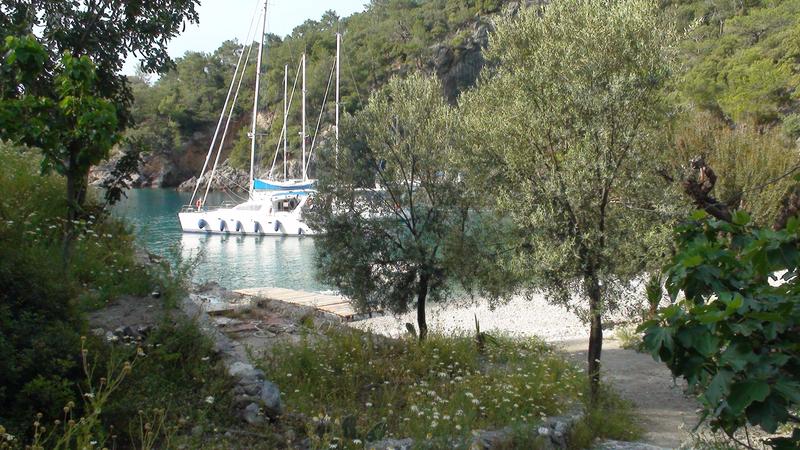 Ali - Cold Water Bay 