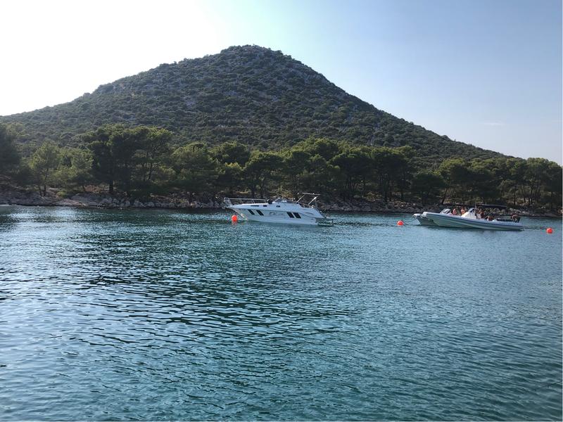 Zaklopica buoy field