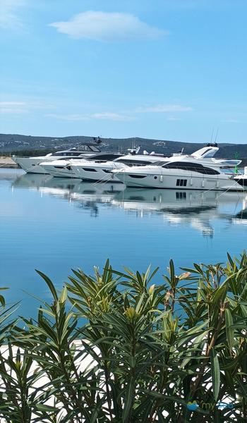 Molum Marine Club
